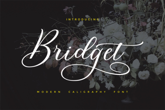 Bridget Script: A Feminine Font for Modern Design Projects