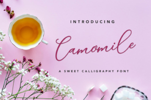 Camomile Script