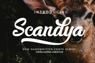 Integrating Scandya Script into Your Design Workflow for a Human Touch