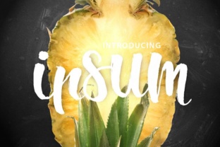 Ipsum Script: The Modern Brush Script Font That Elevates Design