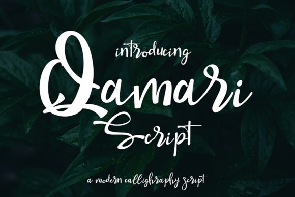 Qamari Script: A Timeless Font for Modern Design