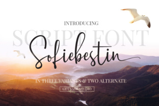 Sofiebestin Script: A Handwritten Font with a Modern Edge
